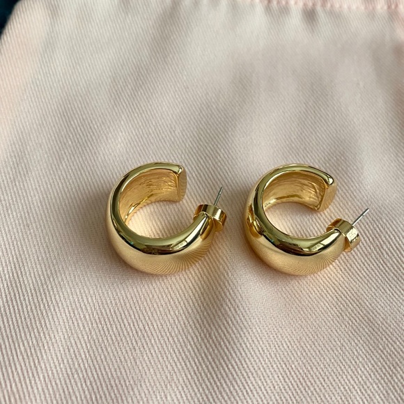 NWOT Banana Republic small thick hoop earrings